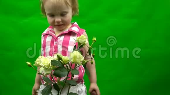 小女孩闻着绿色背景上的白玫瑰视频的预览图
