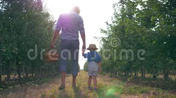 父亲和儿子的家庭关系父亲和孩子在一排排的树之间行走在背光下有一篮子水果视频的预览图