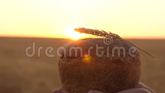 在日落时分女孩手里拿着一捆麦穗的面包特写镜头手掌上的美味面包视频的预览图