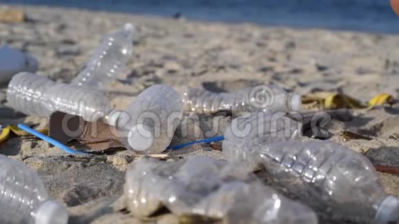 组志愿者清理沙滩线女人举起并把一个塑料瓶扔进袋子里视频的预览图