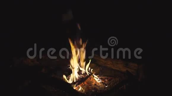 篝火燃烧视频的预览图