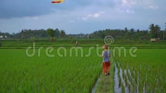 一个带风筝的小男孩慢镜头穿过一个美丽的大稻田视频的预览图