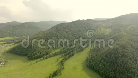 在夏天的日子里前进到松树林和山谷欧洲户外绿色自然景观山野空中野人视频的预览图