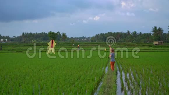 一个带风筝的小男孩慢镜头穿过一个美丽的大稻田视频的预览图