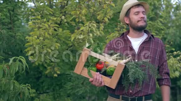 蔬菜生意乡下人手里拿着装有有机产品和玉米的木箱视频的预览图