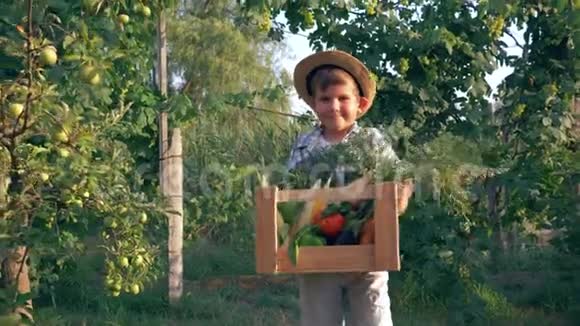 小农场主在花园里的不同树木的背景下把新鲜蔬菜放在木箱子里视频的预览图