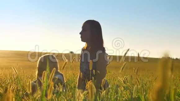 年轻的母亲和金发小女儿坐在田野的中间女人指着前方美丽的景色视频的预览图