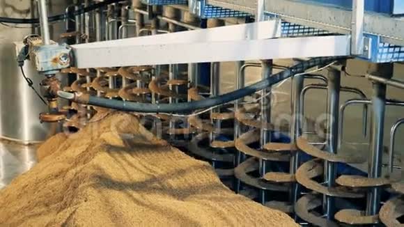 种子在工厂机器上旋转关闭麦芽加工设备在麦芽厂啤酒厂视频的预览图
