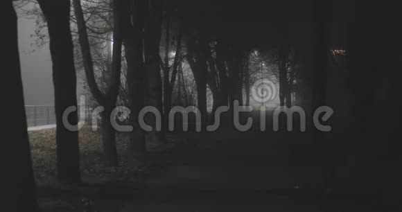 夜晚漫步在神秘的秋雾公园视频的预览图