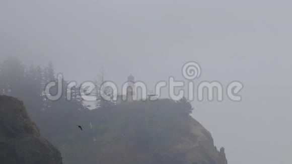 科莫兰特沿着悬崖顶端的灯塔飞来视频的预览图