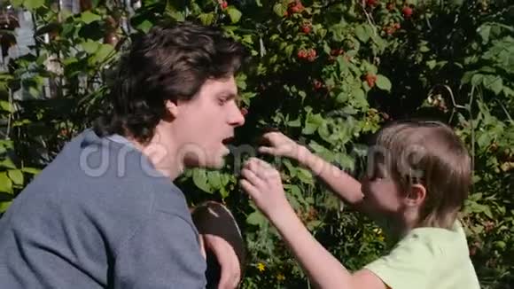 儿子和爸爸吃树莓从乡下的灌木丛里撕下来视频的预览图