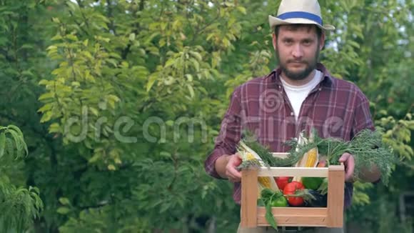 秋天的收获戴着草帽的快乐农夫手里拿着装有新鲜蔬菜的木箱在花园里视频的预览图