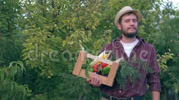 蔬菜的家庭生意英俊的农民在收割时拿着一个木箱和一个生物红番茄视频的预览图