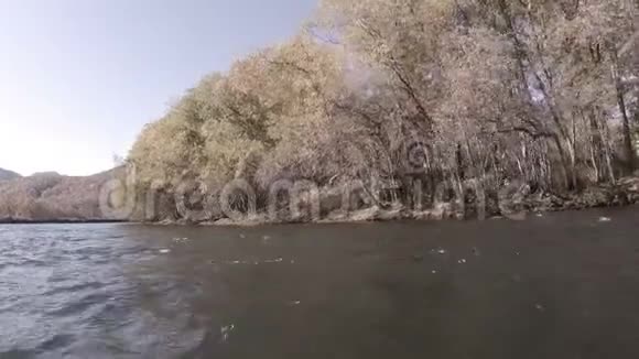 快速河岸上的树木视频的预览图