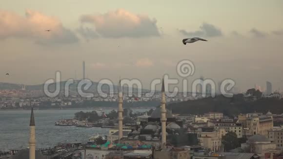 以伊斯坦布尔博斯普鲁斯海峡和埃米诺努鲁斯特姆帕沙清真寺为背景的飞行海鸥视频的预览图