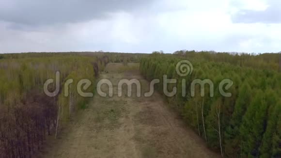 无人机在北欧森林上空射击4K超高清拍摄视频的预览图