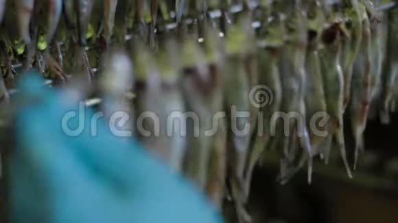 熏鱼加工厂海洋食品制造养鱼厂食品厂加工鱼类视频的预览图
