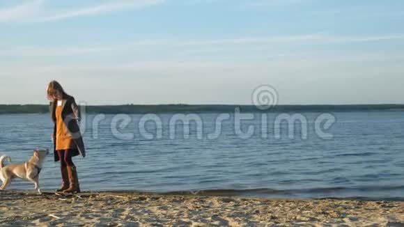 一个年轻的女人跑着在河岸的海滩上和一只棕色的狗拉布拉多玩春天视频的预览图