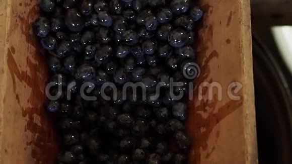 黑葡萄的浆果窒息而倒视频的预览图