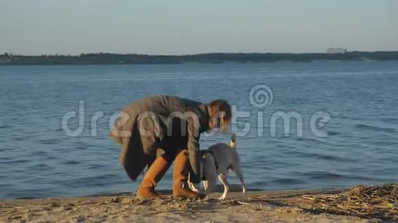 一个年轻的女人跑着在河岸的海滩上和一只棕色的狗拉布拉多玩春天视频的预览图