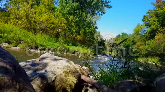 珍禽起飞飞流直下蓝色的鹭飞过阳光明媚的河流树木茂盛视频的预览图