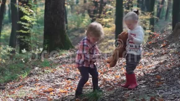 可爱的小女孩在夏天在森林里徒步旅行森林里快乐的女孩子小男孩在秋天玩耍视频的预览图