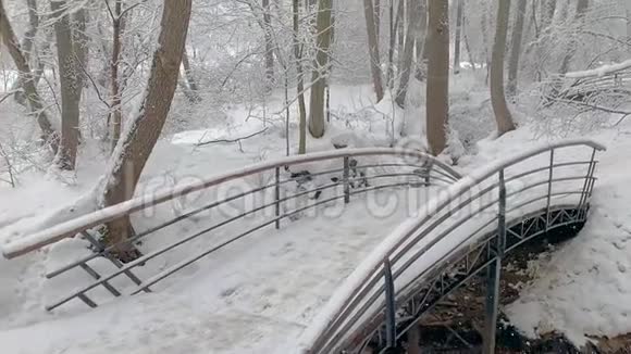 冬林跨江桥下雪了冷酷霜冻的早晨视频的预览图