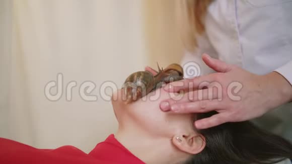 两只大蜗牛在脸上在水疗中心的年轻女子接受了一个与蜗牛Achatina的面部按摩蜗牛吃死皮视频的预览图