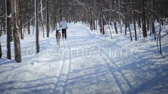 女子越野滑雪与鹿视频的预览图