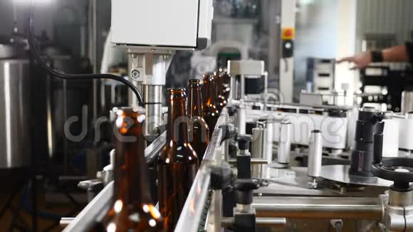 啤酒厂的技术路线正在运输的输送机上的空玻璃瓶啤酒的工艺流程视频的预览图