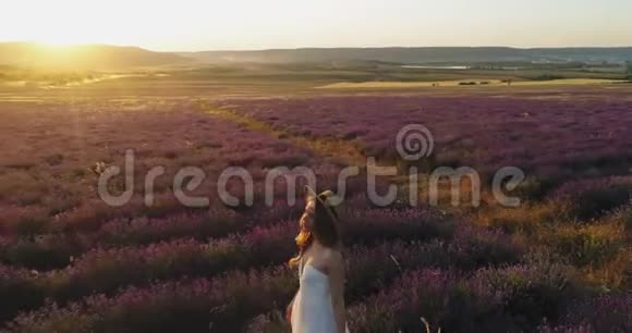 日落时分女人漫步在薰衣草的田野里视频的预览图