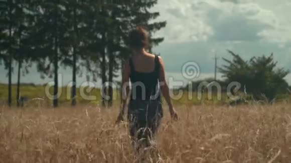 年轻女子悲伤地走在金色的田野上在阳光明媚的日子里抚摸着植物视频的预览图