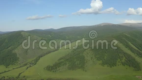 在夏天的日子里前进到松树林和山谷欧洲户外绿色自然景观山野空中野人视频的预览图