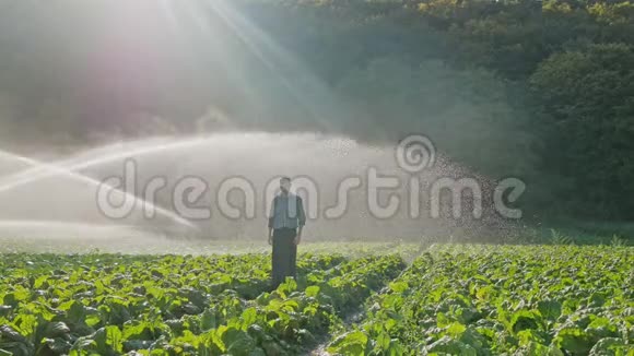 在人工林灌溉时站着一个疲倦的农民视频的预览图