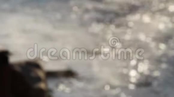 清晨清新的河溪水慢慢地流过天然的岩滩抽象性背景视频的预览图