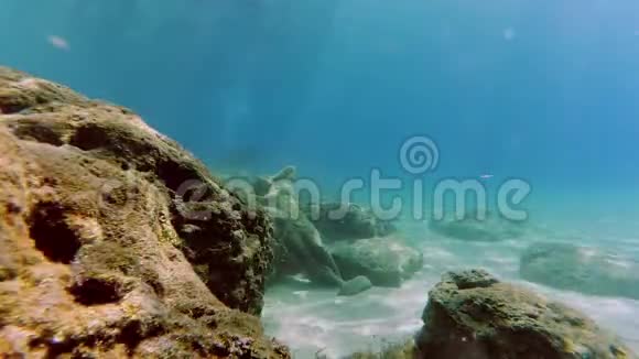 水下场景海底的雕像和几名潜水员视频的预览图
