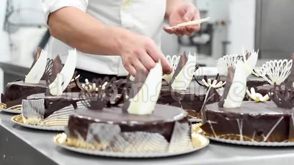 糕点店厨房里的糕点厨师装饰了几个蛋糕视频的预览图