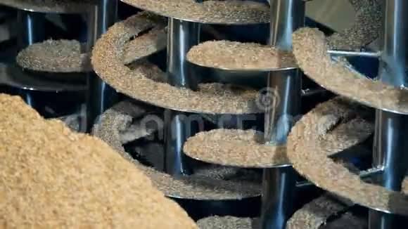 工厂机器旋转谷物关闭麦芽加工设备在麦芽厂啤酒厂视频的预览图
