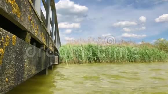 河畔的木塘通向摇曳的草地视频的预览图