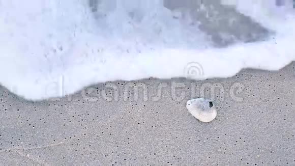 泰国恰姆沙滩上的波浪和贝壳视频的预览图