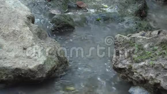小溪流中的水流视频的预览图