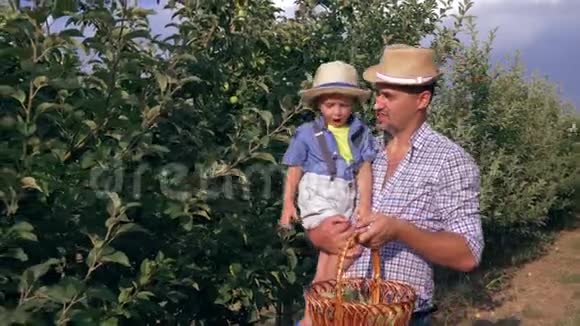 一家人在果园里摘苹果父亲手牵着儿子手里拿着一篮子水果视频的预览图
