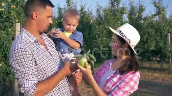 村里的生意快乐的父母带着小男孩在果园里喝苹果新鲜果汁和水果视频的预览图