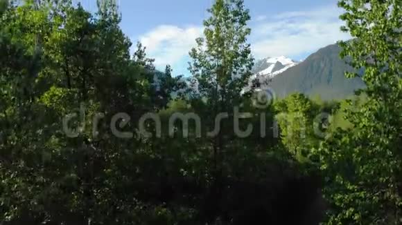 阿拉斯加湖在森林里背景是群山视频的预览图