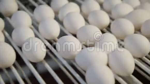 生产鸡蛋家禽鸡蛋经过输送机进一步分拣视频的预览图