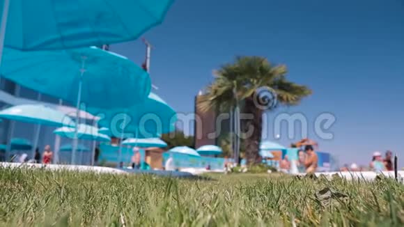 蓝色天空下带绿松石伞的豪华度假酒店视频的预览图
