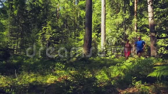 一男一女带着背囊穿过森林视频的预览图