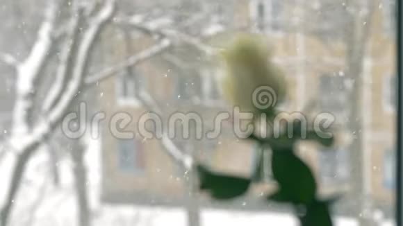 白雪皑皑的天气在窗后升起视频的预览图
