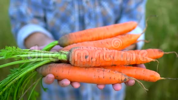 农夫手里拿着胡萝卜的生物制品概念农民市场有机农业农场收获作物生物视频的预览图