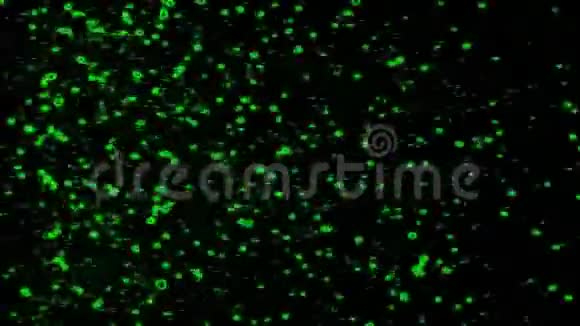 粒子飞行运动视频的预览图